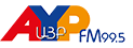 AYP